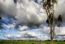 ac米兰-拉斯卡市客场大胜，连续取得两连胜的简单介绍