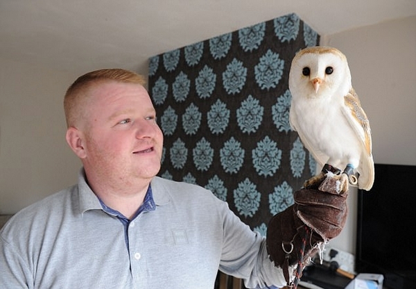 克罗托内正在寻找反弹的机会，欲改变颓势的简单介绍