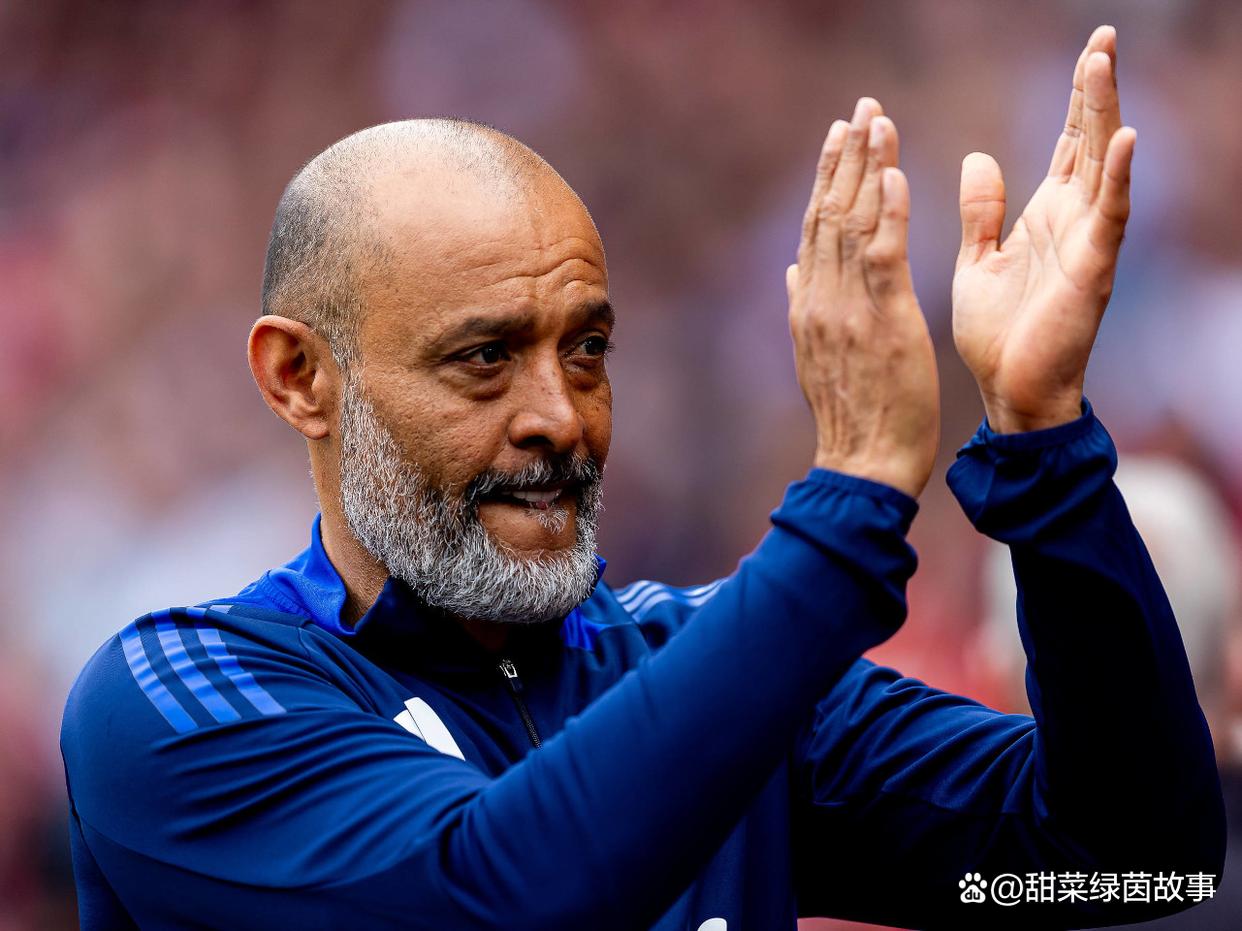 里昂队赢球在望，竞争力逐渐增强的简单介绍